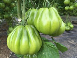 PHOTO 2024 03 13 09 22 47