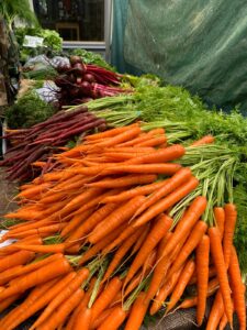 PHOTO 2024 03 13 09 22 49