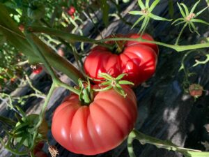 PHOTO 2024 03 13 09 22 53