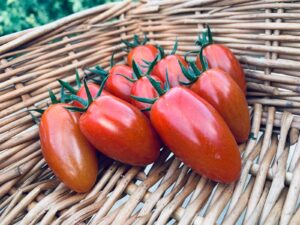 PHOTO 2024 03 13 09 22 53(1)