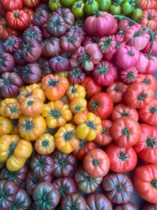 PHOTO 2024 03 13 09 22 55