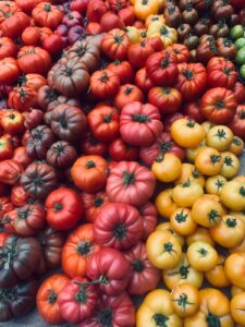 PHOTO 2024 03 13 09 22 59(1)