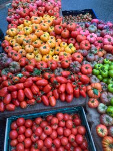 PHOTO 2024 03 13 09 24 17(1)