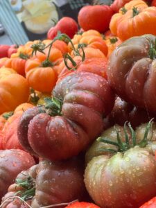 PHOTO 2024 03 13 09 24 18(2)