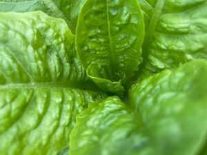 PHOTO 2024 03 13 09 26 08