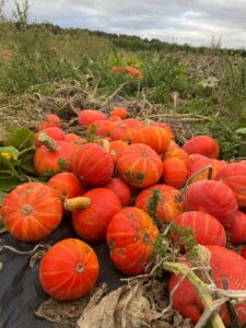 PHOTO 2024 03 13 09 26 08(1)