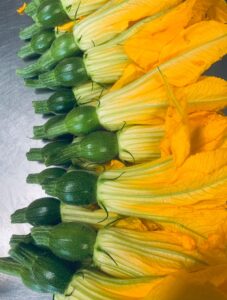 PHOTO 2024 03 13 09 26 10