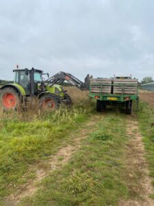 PHOTO 2024 03 13 09 26 15