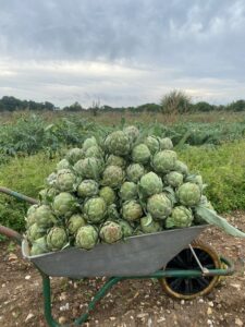 PHOTO 2024 03 13 09 26 15(1)