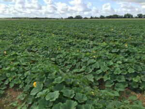 PHOTO 2024 03 13 09 28 35