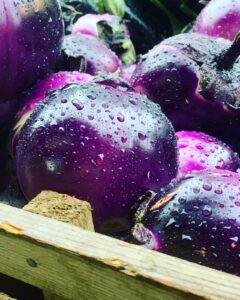 PHOTO 2024 03 13 09 33 01